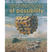 Architectures of Possibility: After Innovative Writing