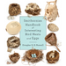 Smithsonian Handbook of Interesting Bird Nests and Eggs
