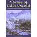 A Sense of Tales Untold: Exploring the Edges of Tolkien's Literary Canvas
