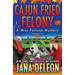 Cajun Fried Felony