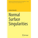 Normal Surface Singularities