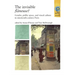 The Invisible Flâneuse?: Gender, Public Space and Visual Culture in Nineteenth Century Paris