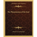 The Phenomenon of the Soul
