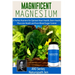 Magnificent Magnesium: A Perfect Nutrient for Optimal Heart Health, Brain Health, Muscular Health and Even Blood Sugar Control
