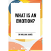 What Is an Emotion?
