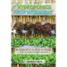 Hydroponics for Beginners: The Ultimate Guide To Start Growing Vegetables, Fruits And Herbs At Home Without Soil