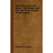 Daily Life in Ancient Rome - The People and the City at the Height of the Empire