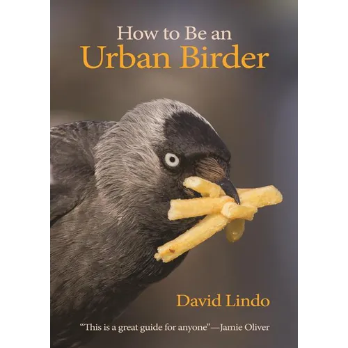 How to Be an Urban Birder
