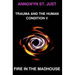 Fire in the Madhouse