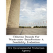 Chlorine Dioxide for Wastewater Disinfection: A Feasibility Evaluation