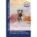 Pets and the Afterlife 3: Messages from Spirit Dogs