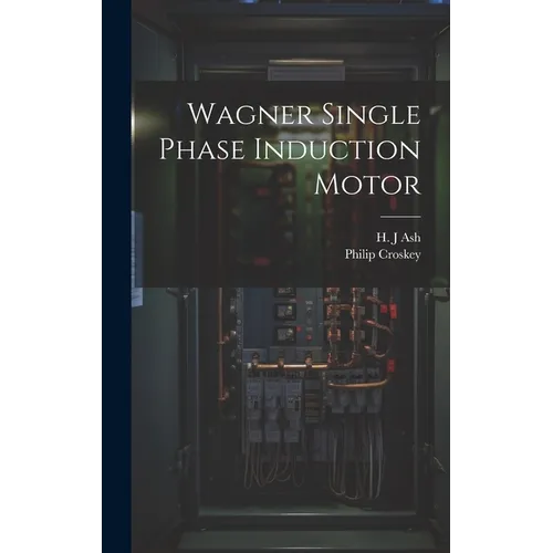 Wagner Single Phase Induction Motor
