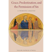 Grace, Predestination, and The Permission of Sin