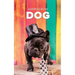 Address Book Dog