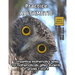 Practice Arithmetic: Level 2 (ages 9 to 11)