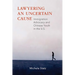 Lawyering an Uncertain Cause: Immigration Advocacy and Chinese Youth in the US