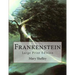 Frankenstein: Large Print Edition