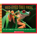 Red-Eyed Tree Frog