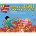 Why Do Leaves Change Color?
