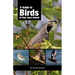 A Guide to Birds of San Juan Island