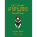 Dictionary of Indian Tribes of the Americas (Volume Three)