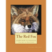 The Red Fox: Learn How to Scratch! The Art of Fine Lines