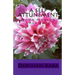 A Self Attunement: Maha Moksha Healing