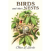 Birds and their Nests
