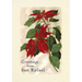 Vintage Lined Notebook Greetings from San Rafael, California