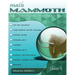 Math Mammoth Grade 5 Skills Review Workbook