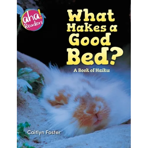 What Makes a Good Bed?: A book of Haiku