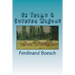 Ox Teams & Covered Wagons: Diaries from Pioneers crossing the plains from Iowa to Oregon