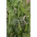 Sweet Peas - Their History, Development & Culture