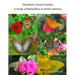Elizabeth's Secret Garden: A Study of Butterflies in North America - 2nd edition