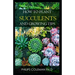How to Plant Succulents and Growing Tips