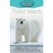 Polar Bears
