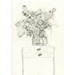 The Stone Soup Sketchbook: Magic Flowers - Analise Braddock - unlined