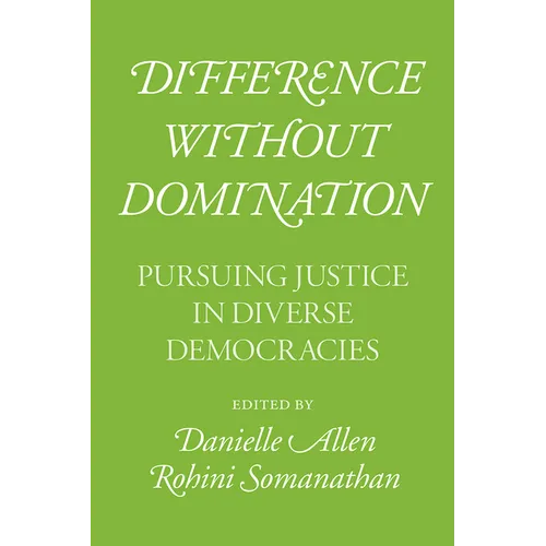 Difference without Domination: Pursuing Justice in Diverse Democracies