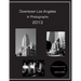 Downtown Los Angeles in Photographs 2013