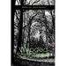 Wooded Sanctuary