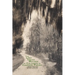 The Lost Indian Mounds of Calcasieu & Cameron Parish: A Mini-History
