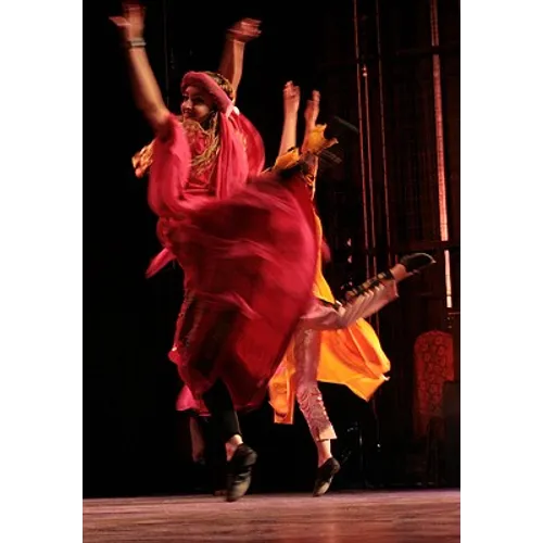 Raising Dust: A Cultural History of Dance in Palestine