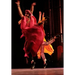 Raising Dust: A Cultural History of Dance in Palestine