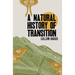 A Natural History of Transition
