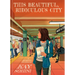 This Beautiful, Ridiculous City: A Graphic Memoir