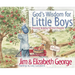 God's Wisdom for Little Boys: Character-Building Fun from Proverbs