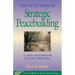 The Little Book of Strategic Peacebuilding: A Vision and Framework for Peace with Justice