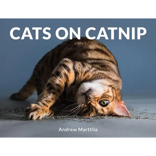 Cats on Catnip