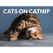 Cats on Catnip
