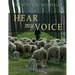 Hear my Voice: An Old World Approach to Herding